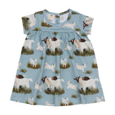 Keçi Ailesi - Pamuk (Organik)